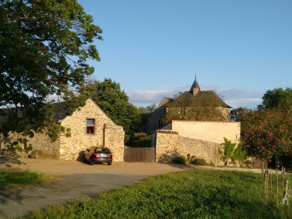 Chateau De Chanze Faye-d'Anjou Exteriör bild