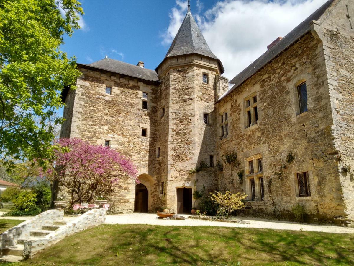Chateau De Chanze Faye-d'Anjou Exteriör bild